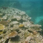 Exploring the Great Barrier